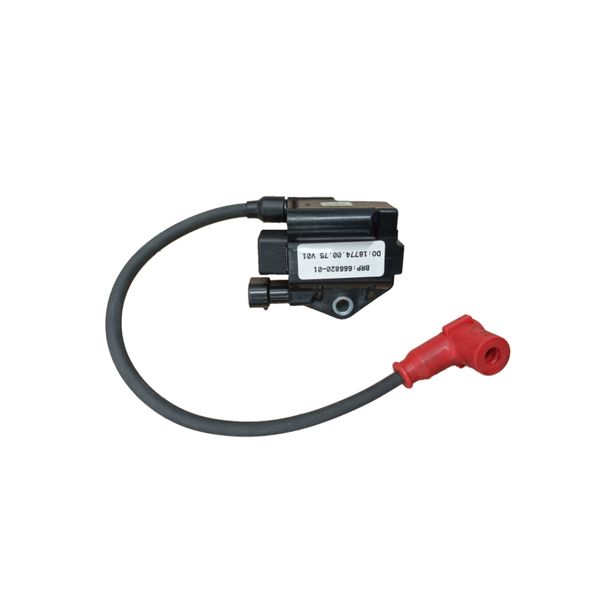 Hovedbilde Rotax coil EVO